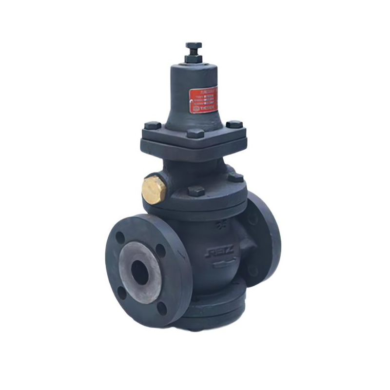 RETZ进口品质 活塞式蒸汽减压阀