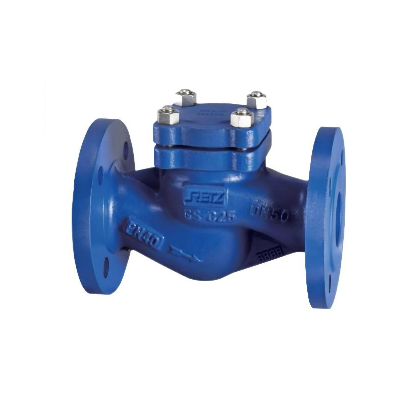 RETZ进口品质 导热油蒸汽止回阀