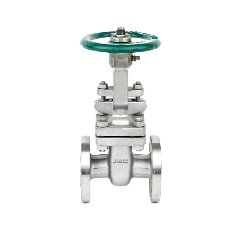 RETZ进口品质 导热油蒸汽波纹管闸阀