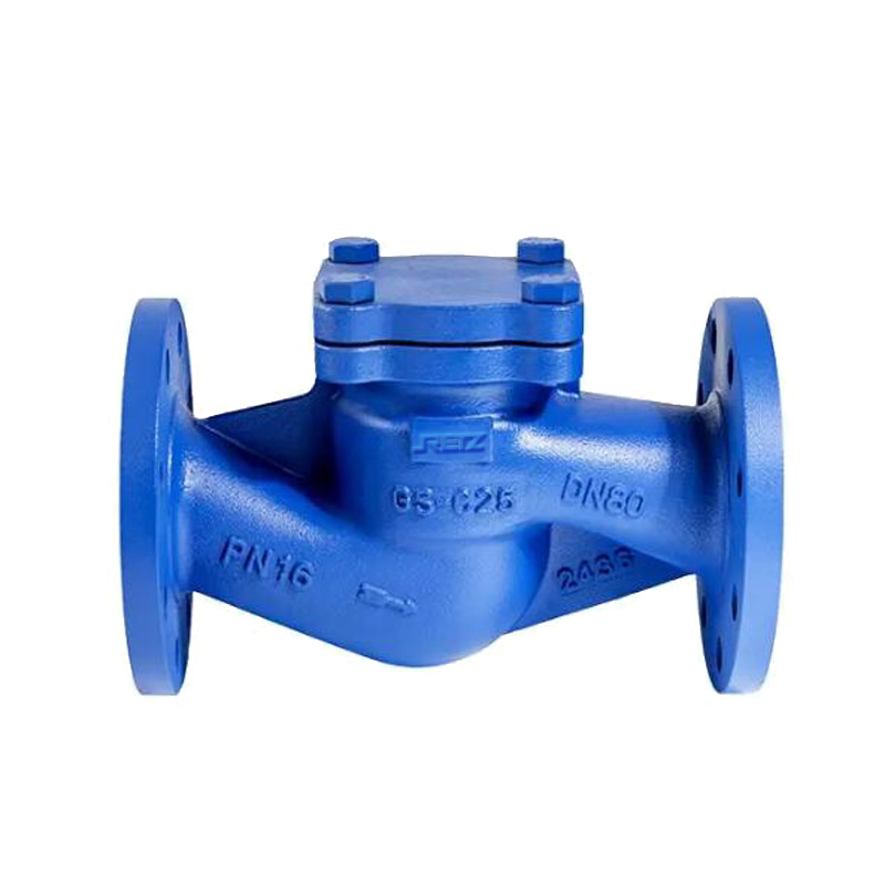 RETZ进口品质 氨用止回阀 