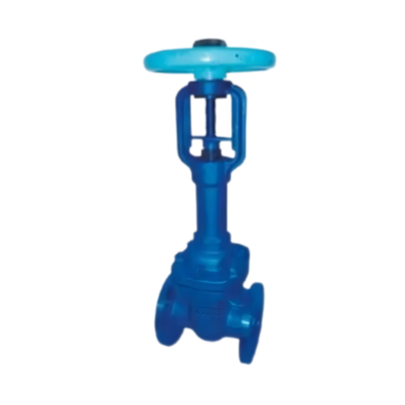 RETZ进口品质 波纹管闸阀