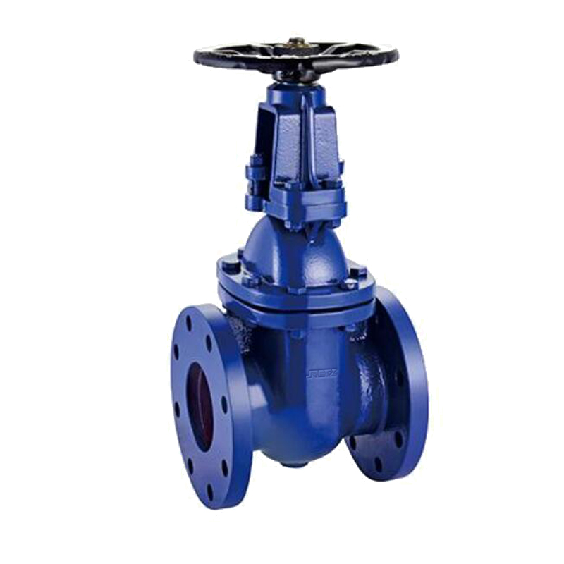 RETZ进口品质 球墨铸铁闸阀