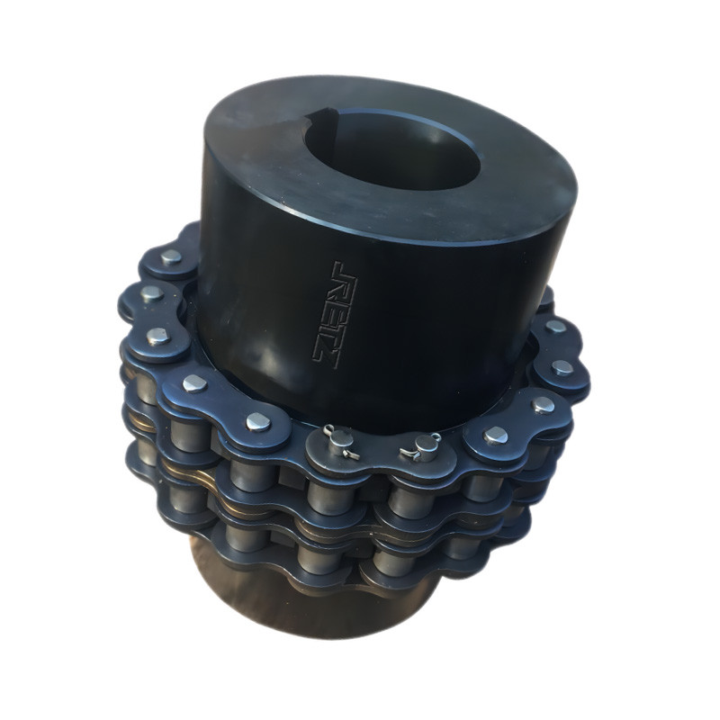 RETZ进口品质 GL滚子链联轴器