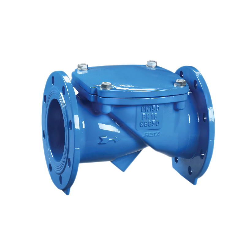 RETZ进口品质 橡胶瓣止回阀