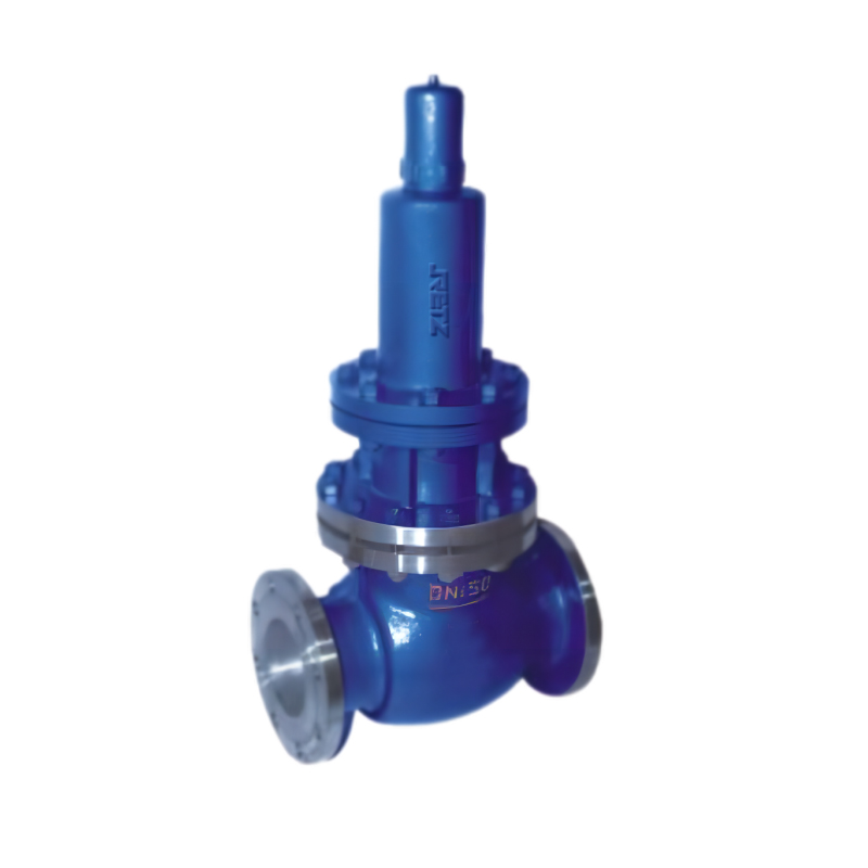 RETZ进口品质 定压止回阀 安全止回阀