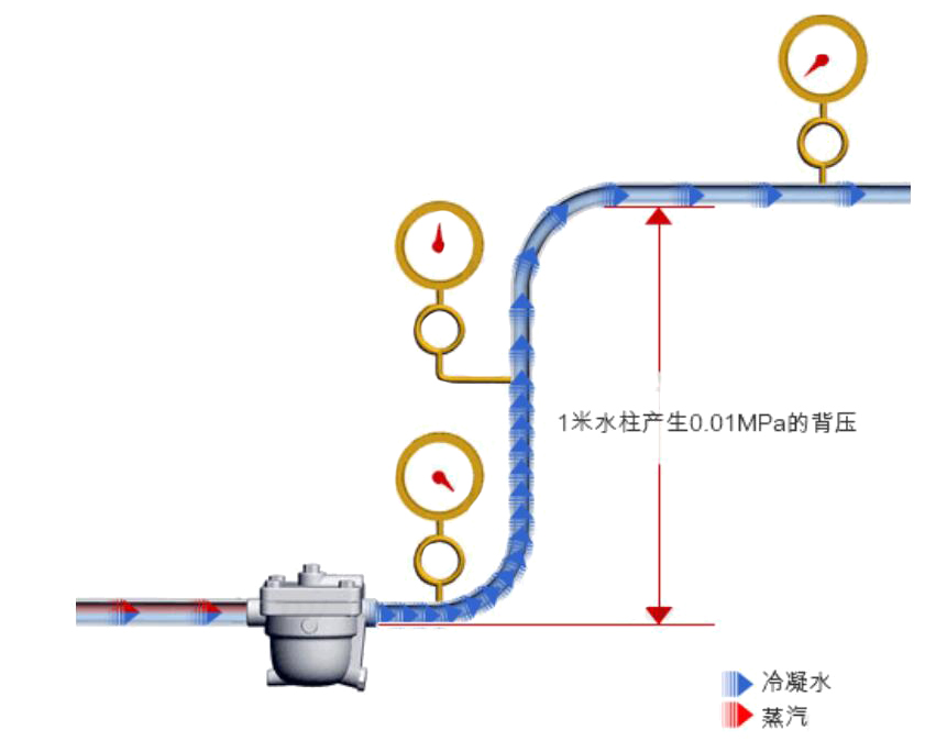 什么是疏水阀的背压3.jpg