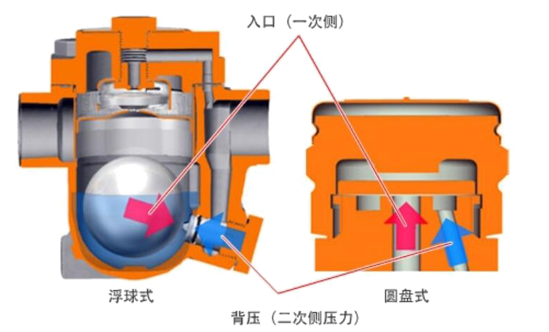 什么是疏水阀的背压5.jpg