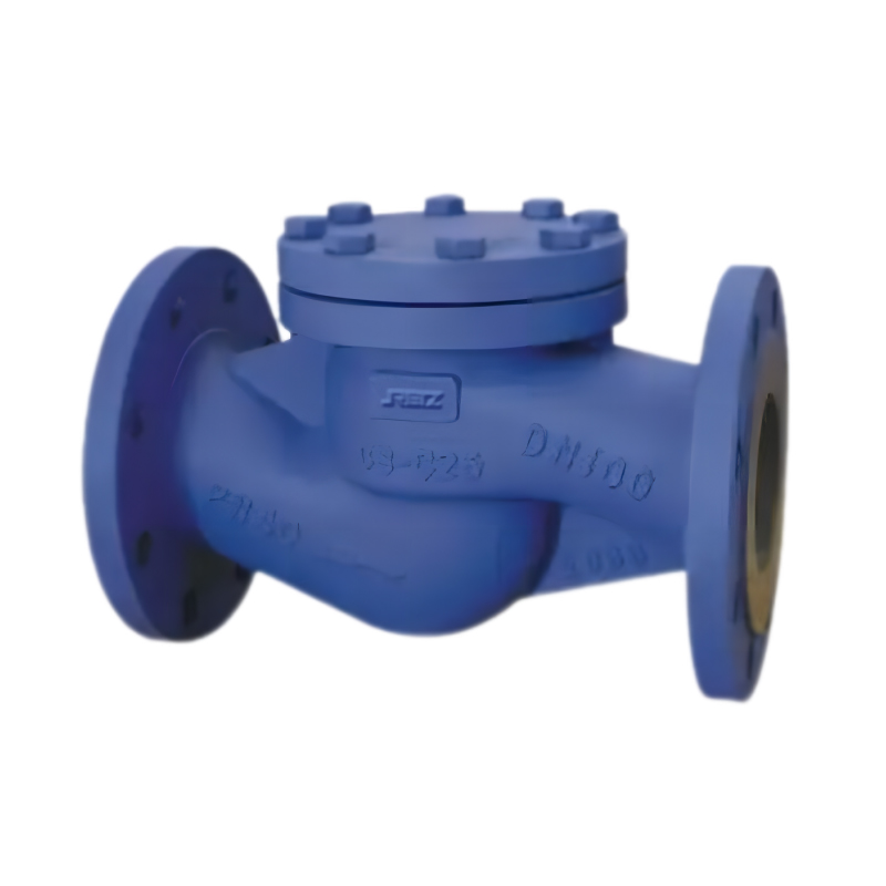 进口DIN德标止回阀.jpg